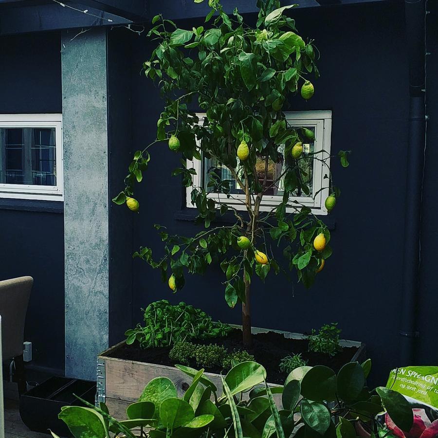 Ilse Made - Hotellet Ved Kilden Pillemark 外观 照片