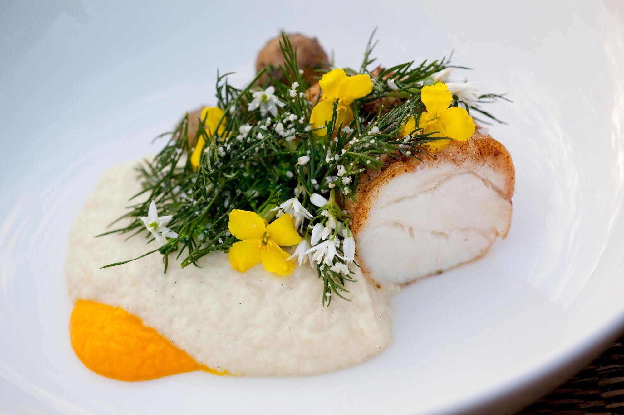 Ilse Made - Hotellet Ved Kilden Pillemark 外观 照片